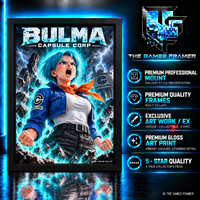 Dragon Ball Bulma Black Straight Mount Premium Quality Frame