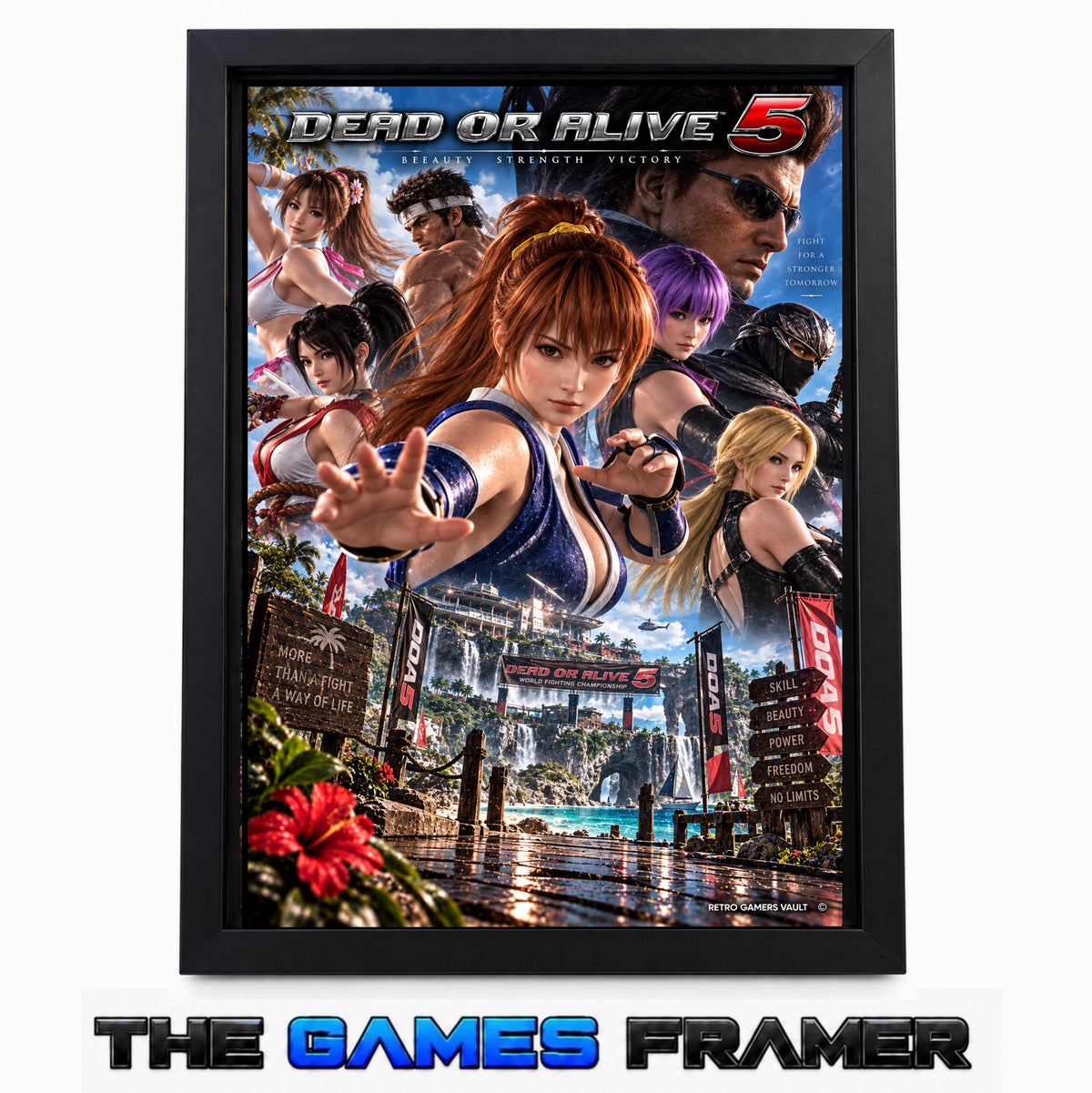 Dead or Alive 5 F2  Straight Mount Premium Quality Flat Frame