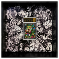 TCG Graded Media Display Frames . One Piece | Dragonball | Pokemon