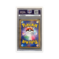 Bumper Grading Slab PSA /AP/PGS/PI/CGC/BGS/PCG/ARK