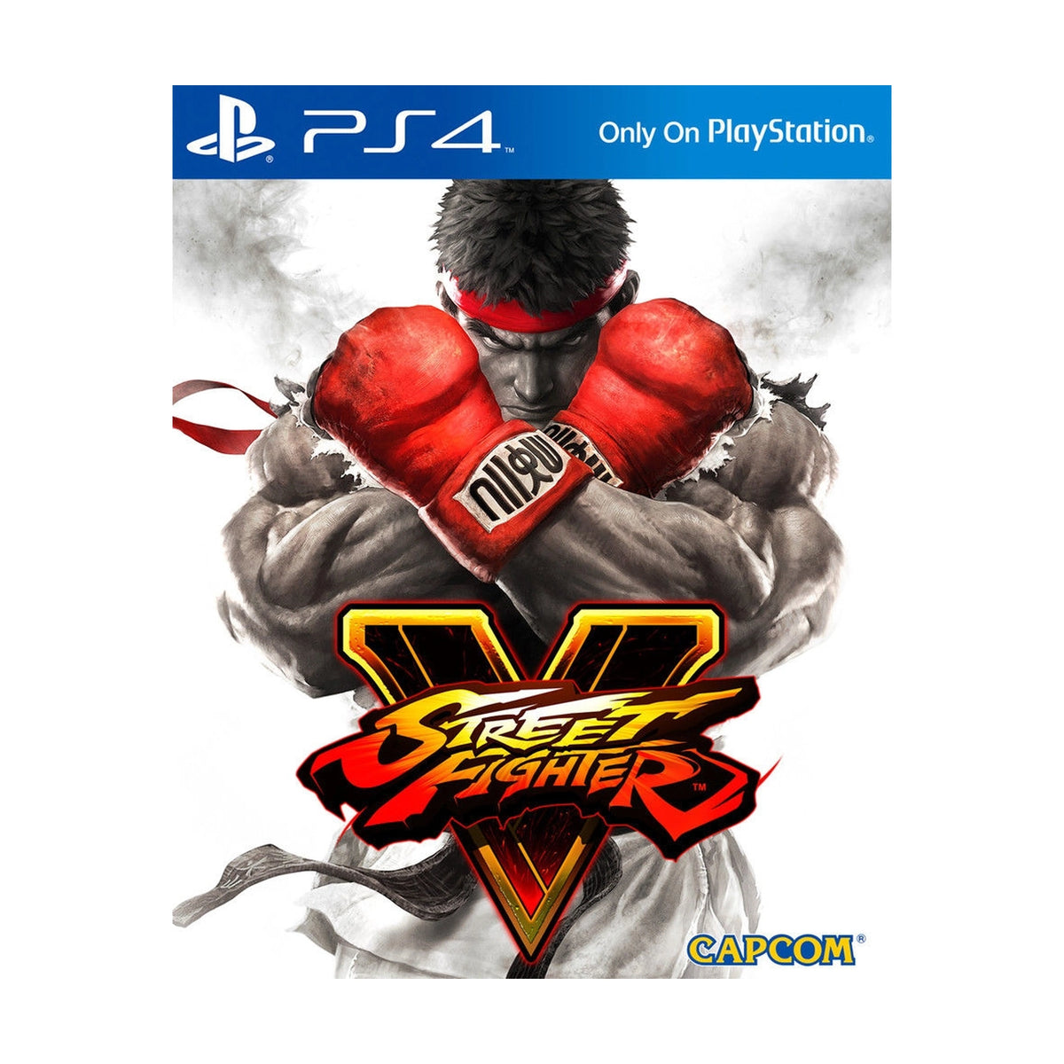 Street Fighter V